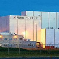 NESTLE PURINA Russia